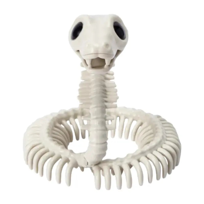 Front head-on view of plastic skeleton snake prop