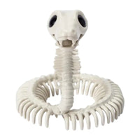 Thumbnail for Front head-on view of plastic skeleton snake prop